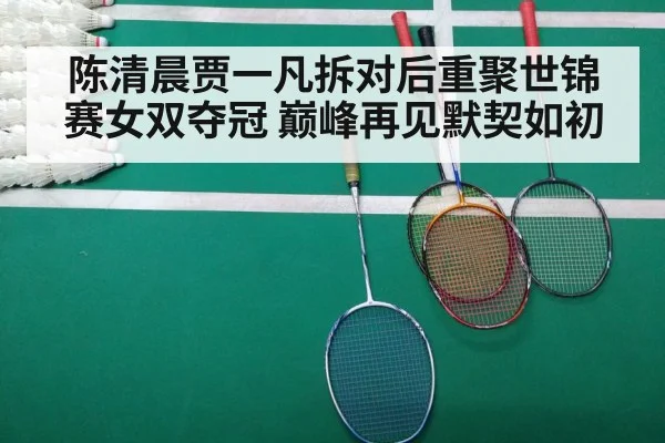 陈清晨贾一凡拆对后重聚世锦赛女双夺冠 巅峰再见默契如初